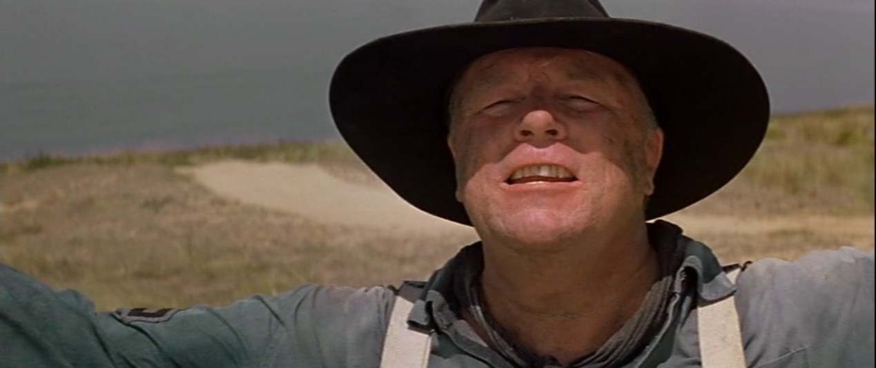 Моцарт, который загнал мне в задницу кувалду по самый пуп...
Моцарт, чью маму, папу, сестер, братьев, дядюшек и тетушек, всех вместе взятых, всю родню я видел в гробу!
Так вот, этот самый распроклятый Моцарт, который достал меня до самых печенок, этот Моцарт… великий композитор!