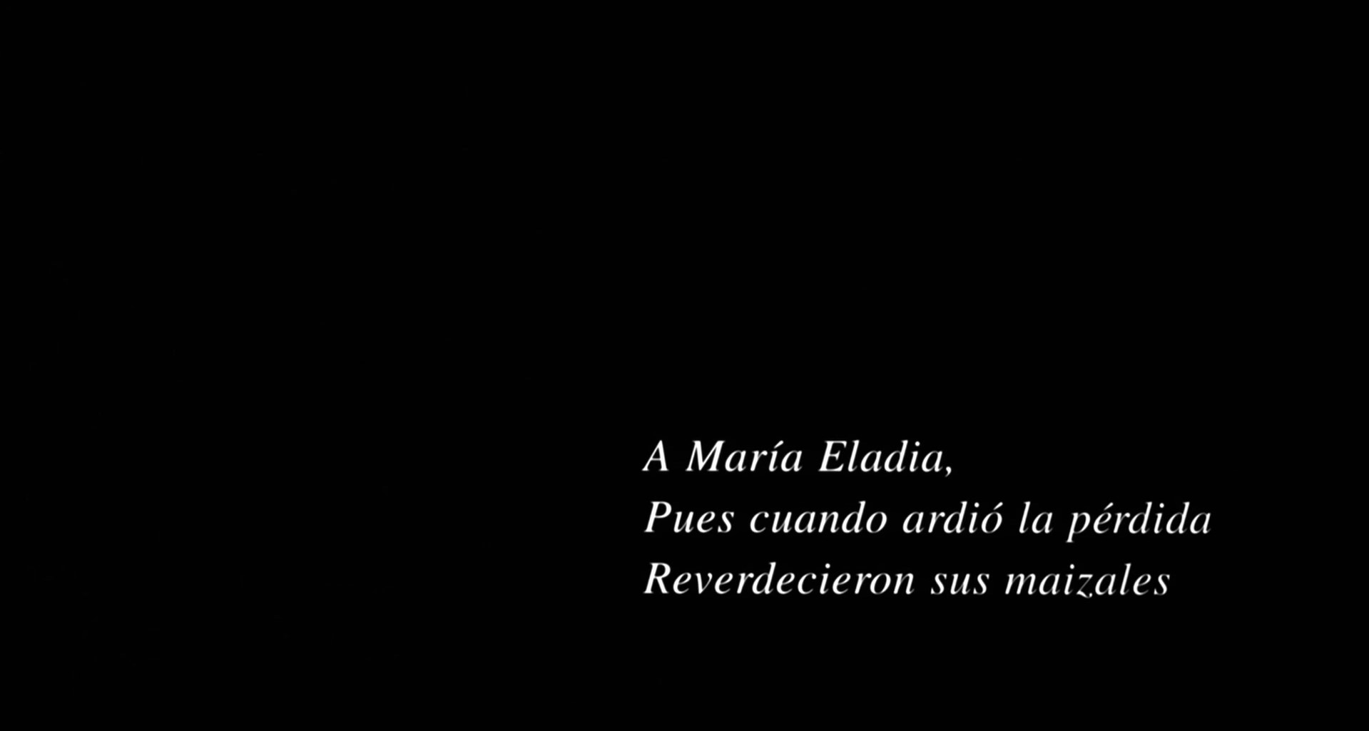ибо, когда все сгорело — на пепелище зазеленели поля.