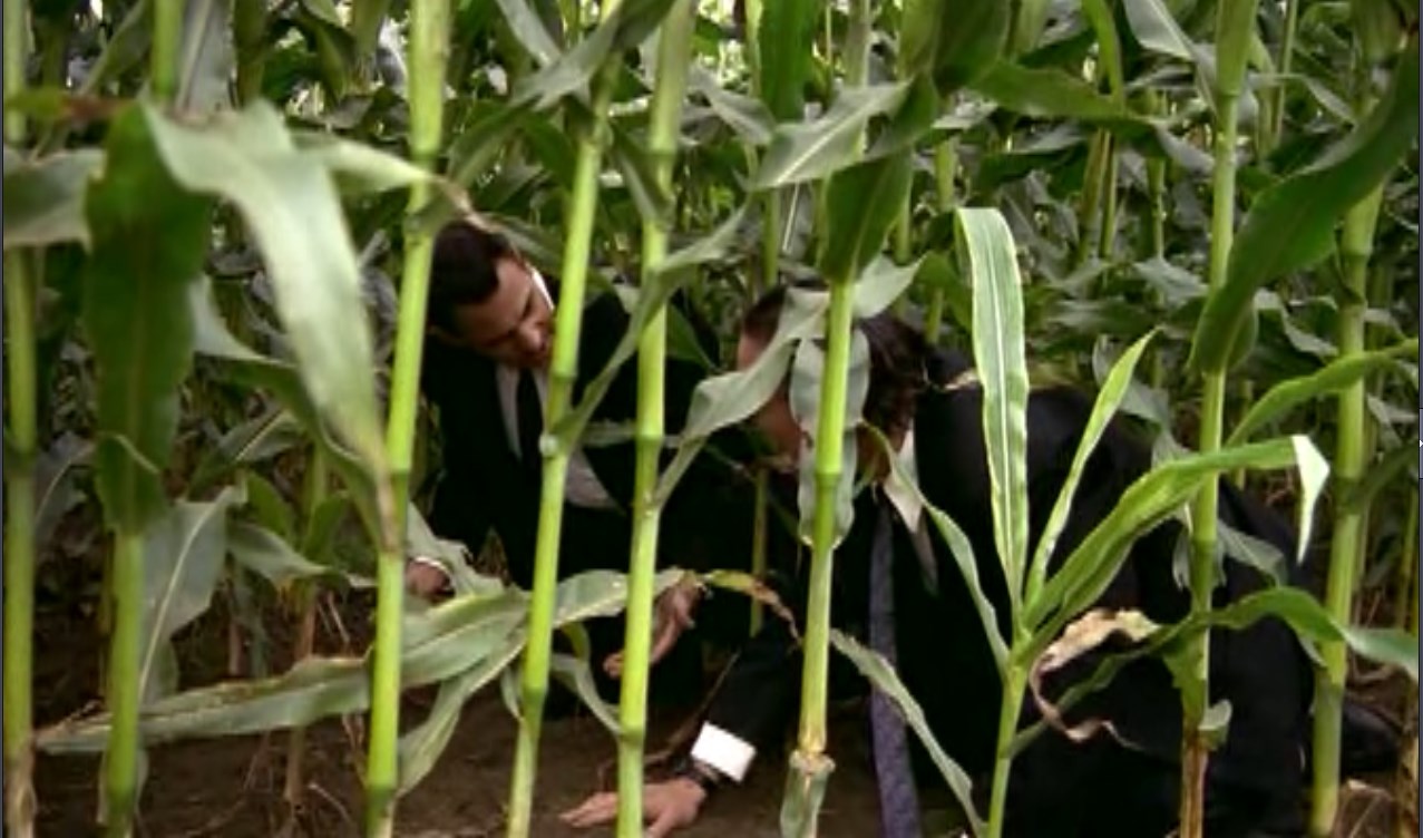 — Знал бы, освоил другую профессию.
— А этой ты учился в институте?