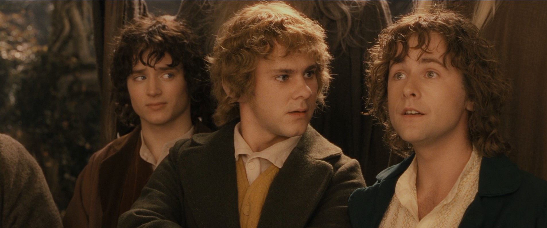 — Девять хранителей... Да будет так! Отныне вы будете Братством Кольца!
— Отлично! Так куда мы идём?