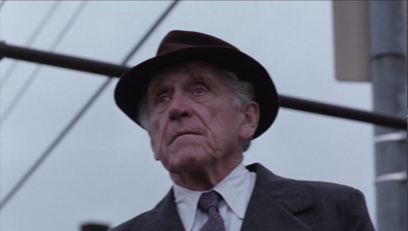 Невероятно, как всё быстро движется на воле. В детстве я однажды видел автомобиль... но теперь они повсюду. Весь мир куда-то спешит.