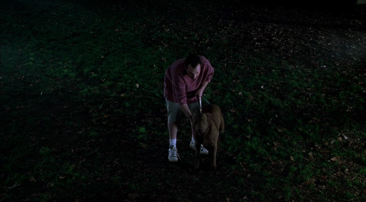 Ты на луну лаешь, идиот!