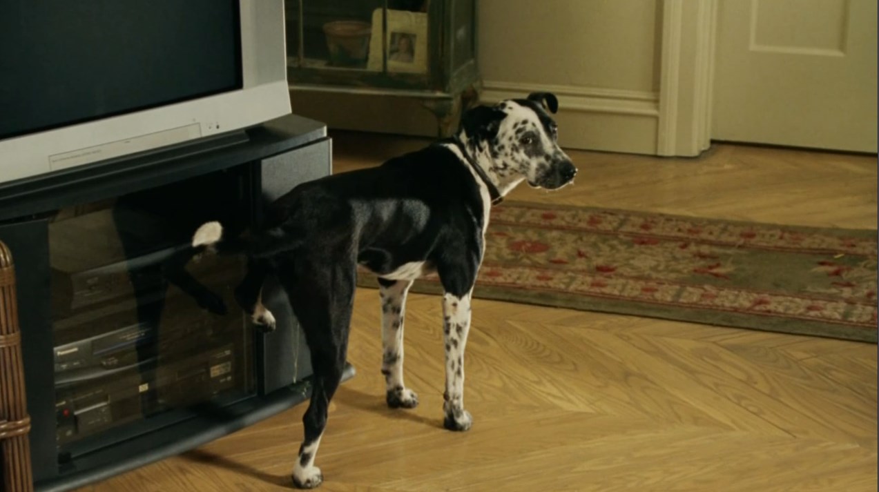 — О, чудесно Сэм! Ты пропустил свою цель! Я здесь. Это меня нужно было обоссать!
— Это не вина собаки!
— Конечно, господня вина!