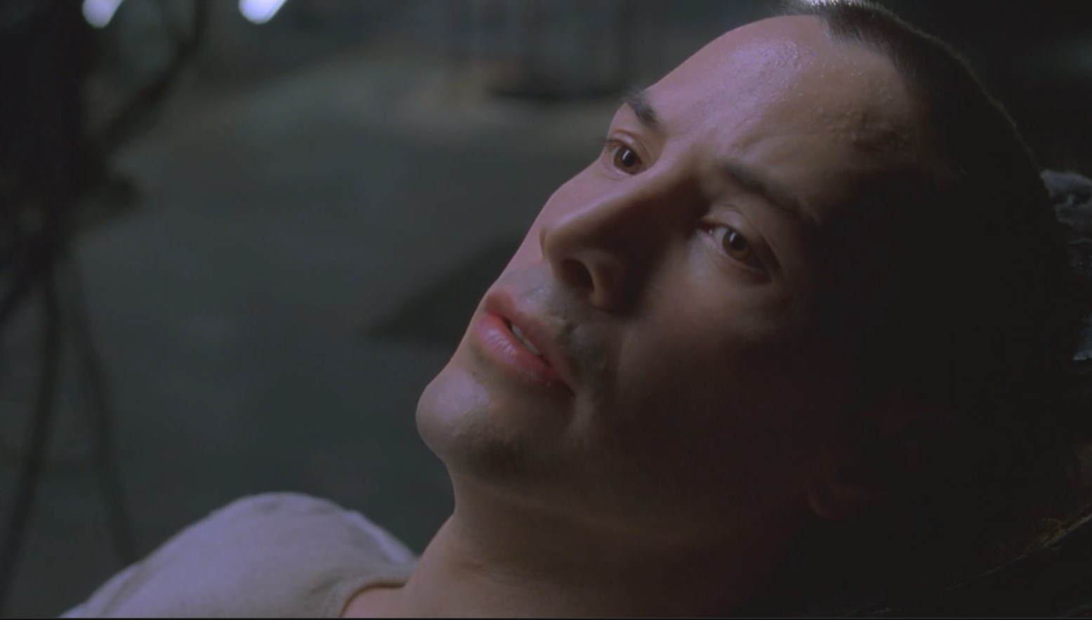 Я знаю кунг-фу.