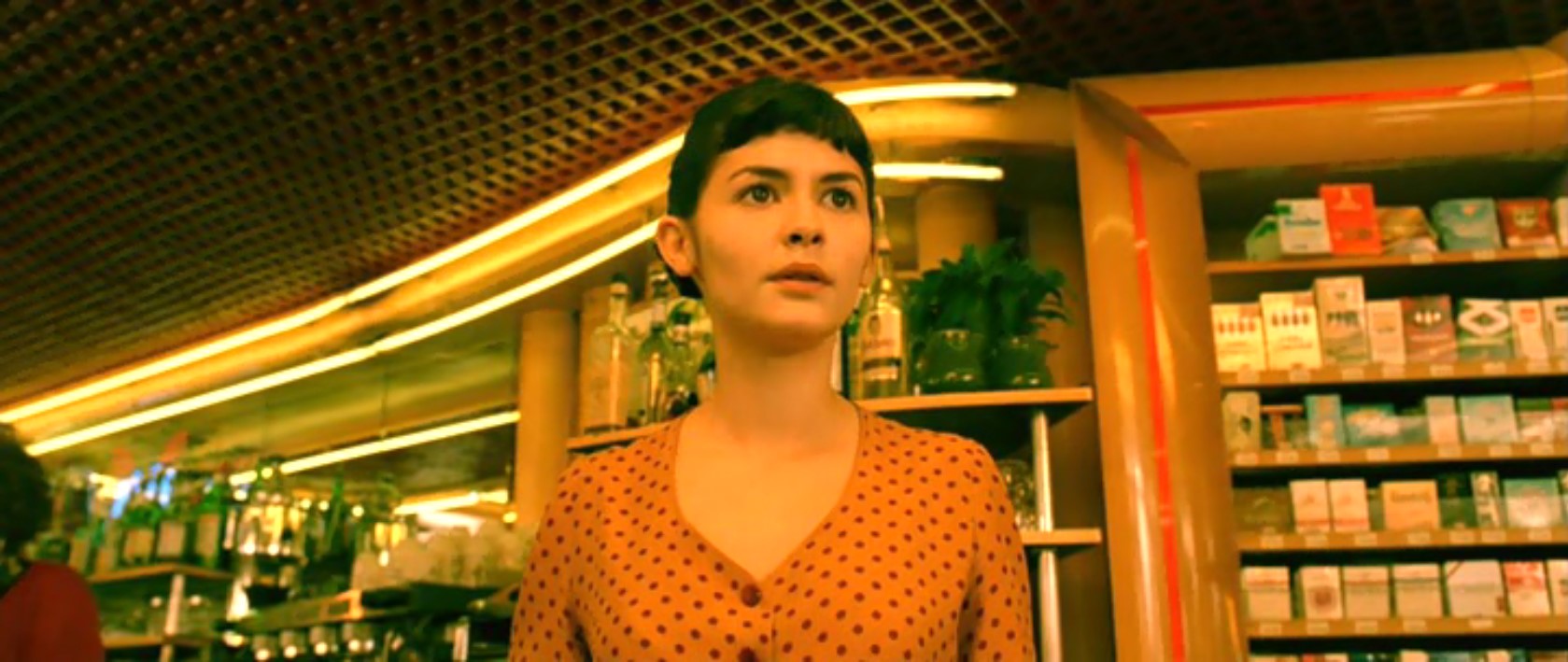 Нино опаздывает. По мнению Амели, для этого может быть только три причины:
1) Он не нашел снимок.
2) Не успел его склеить из-за того, что три бандита-рецидивиста решили ограбить банк и взяли его в заложники. За ними гналась полиция департамента, но им удалось уйти, а он в это время спровоцировал аварию. Когда он очнулся, то ничего не помнил. Его подобрал на дороге один дальнобойщик — бывший зек. Решив, что Нино в бегах, он спрятал его в контейнере и отвез в Стамбул. Там Нино подвернулись афганские террористы. Они предложили ему воровать с ними советские боеголовки. Грузовик подорвался на мине на Таджикской границе, он один остался в живых. Его приютили в горной деревне, и он стал боевиком моджахедом. И зачем тогда Амели так дергаться из-за парня, который будет до конца своих дней жрать борщ и носить на голове дурацкий горшок?
3)…