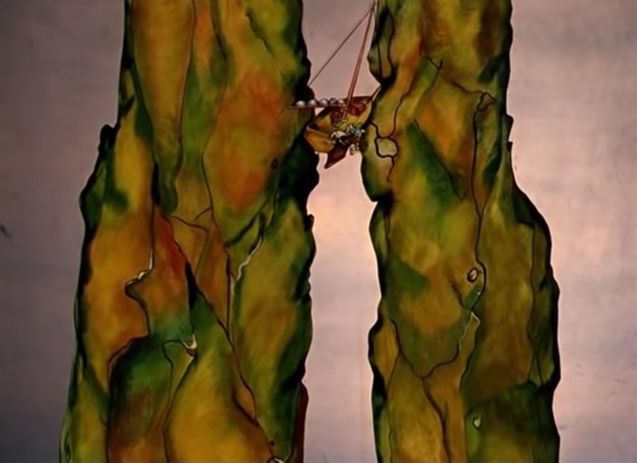 Измерить температуру забортной воды не представляется возможным из-за отсутствия таковой!