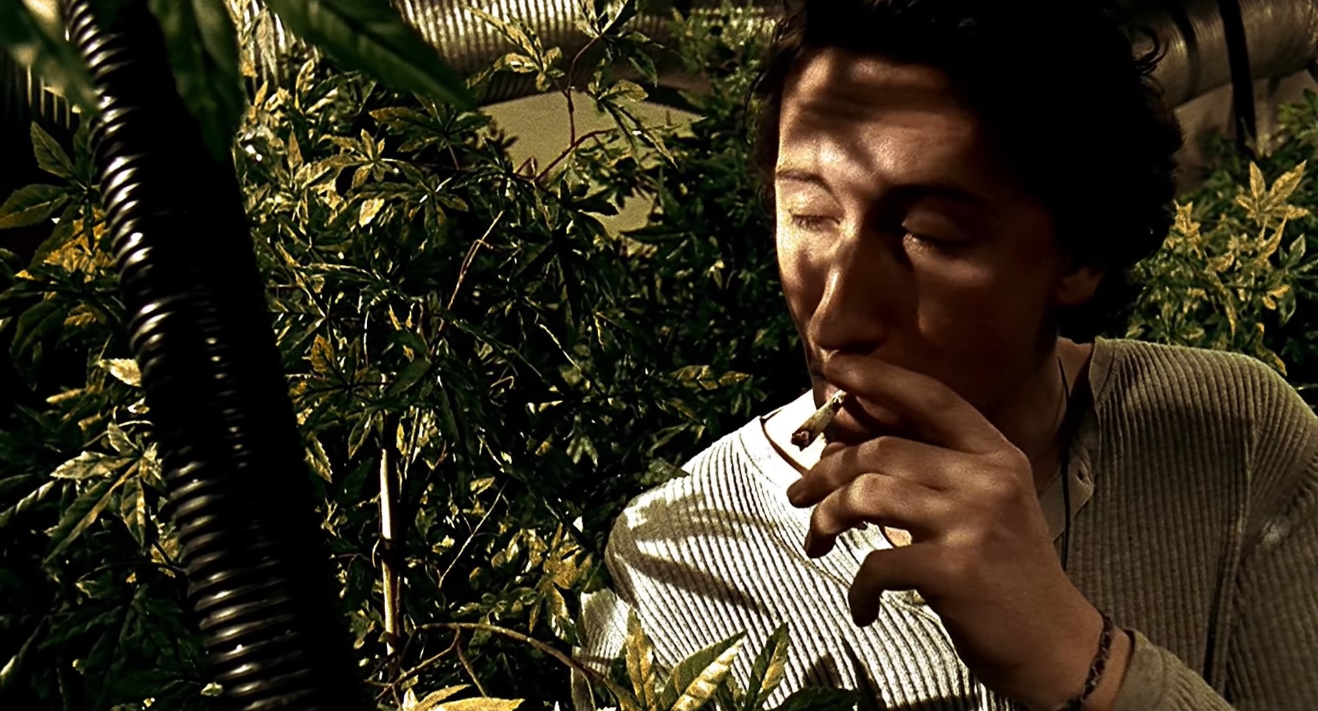 Чарльз («ботаник») Ты столько куришь, что не понятно, как свой член находишь, когда хочешь поссать.