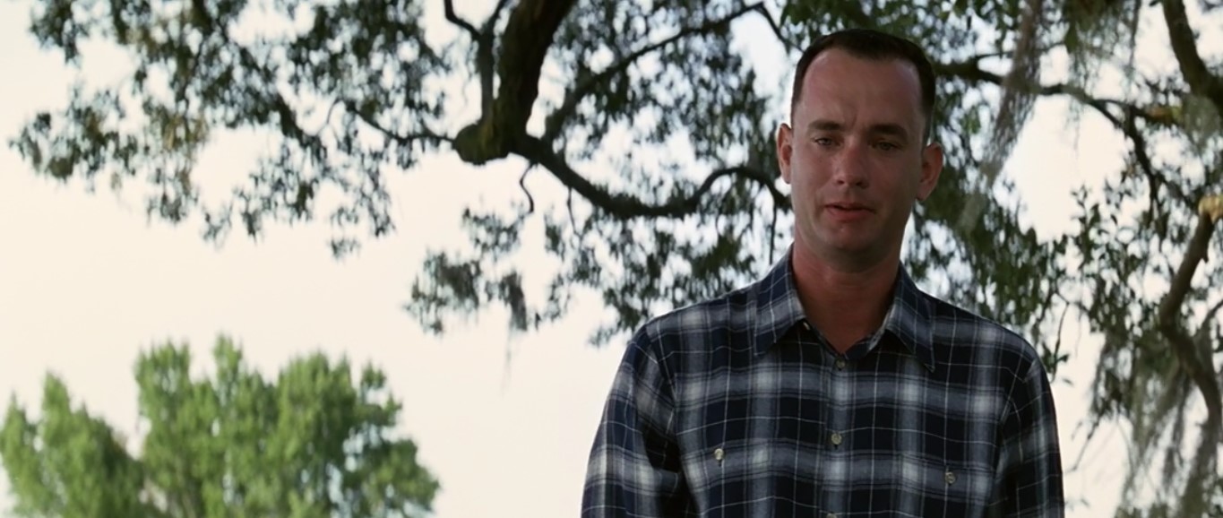 Прав ли лейтенант Дэн, считая, что у каждого из нас свой путь, своя судьба или права мама, говорящая, что всех нас носит по жизни, как перышко по ветру? Я думаю, что правы оба — и то, и другое происходит с нами одновременно.