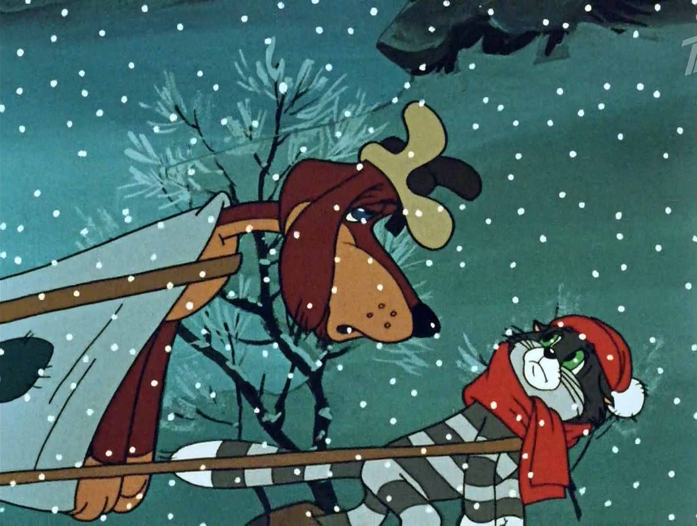 — Ну то, что ездовые собаки бывают, это я слышал. А вот чтобы ездовые коты — это перебор.
— А ездовые почтальоны вам не встречались?
— Ничего, ничего. У нас зимой дороги такие и погода такая, что уже ездовые академики встречаются. Сам видел.