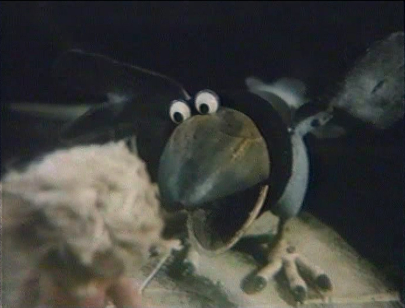 — У тебя не все дома.
— У меня нет дома. Я птица вольная. Куда хочу — туда лечу.