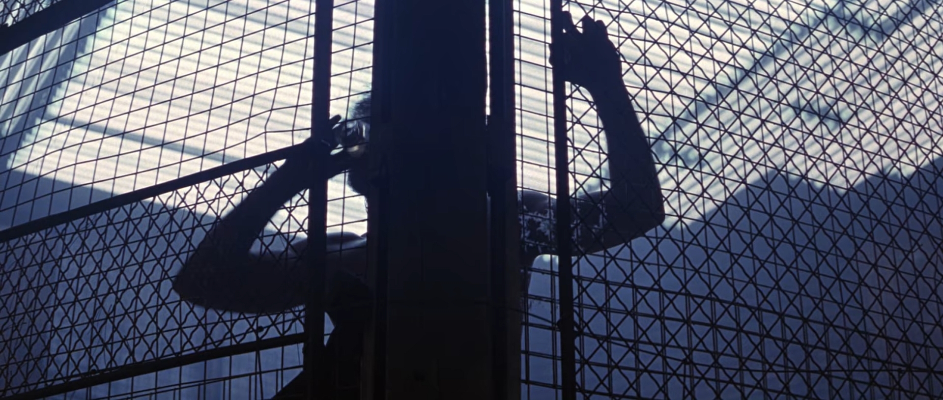 ведущий (Emcee) Стю (боец на ринге) — Что бы ты не делал, не бей его ниже пояса.
— Почему?
— Он принимает это слишком близко к сердцу.